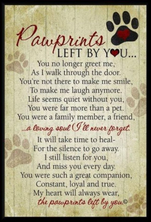 Gracie, an amazing dog! » pawprints quote