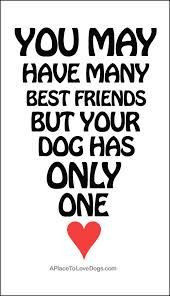awesome great dog quotes - Google Search