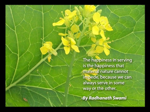 In Serving In The Happiness That Material Nature Cannot Impede ...