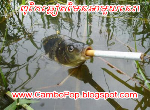 Can this fish quite smoking? [Funny Picture]