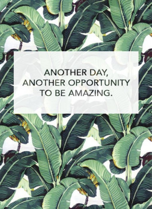 Another day, another opportunity to be amazing.