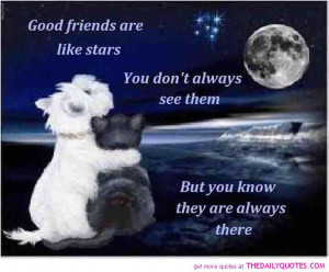 Friends-like-stars-quote-friendship-beautiful-sayings-pictures-pics ...