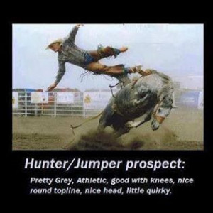 Hunter/Jumper prospect