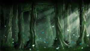 Alpha Coders Wallpaper Abyss Fantasy Forest 129281