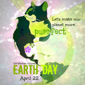 ... day of the year day absurd. He said every day is Earth Day for cats