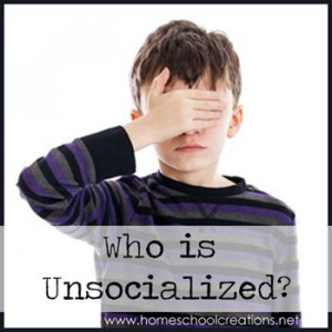 Homeschool socialization is a common concern for families. But what ...