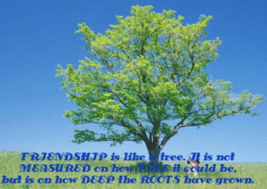 Html Embed Code For...