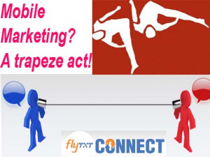 Mobile Marketing : Reality check from emerging economies