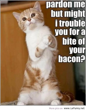 More Hot Pictures from Funny Animal Sex Pictures 1 Buzzinu