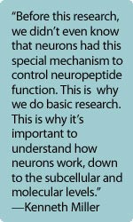Before this research, we didn’t even know that neurons had this ...