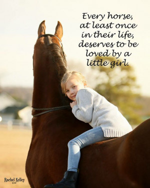 American Saddlebred Love ♥
