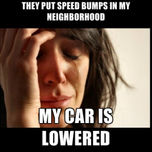 They Put Speed Bumps In My Neighborhood My CaR IS LOWERED