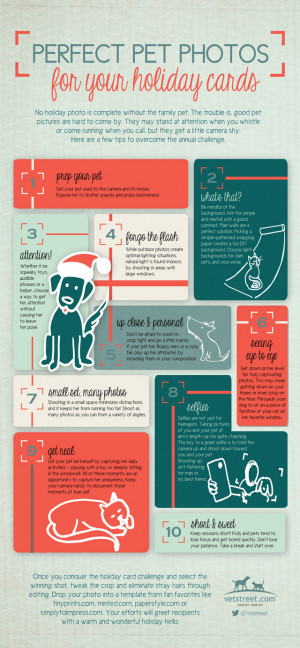 ... to Take the Best Dog or Cat Photos for Holiday Cards — Infographic