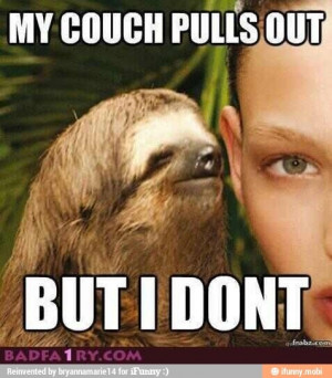 Memedroid Images Tagged Sloth