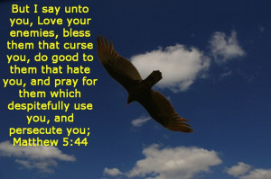 Matthew 5:44 enemies bless do good