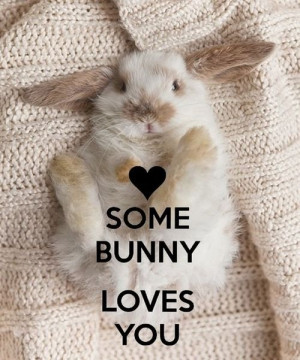 Some bunny loves you. ~ ♡