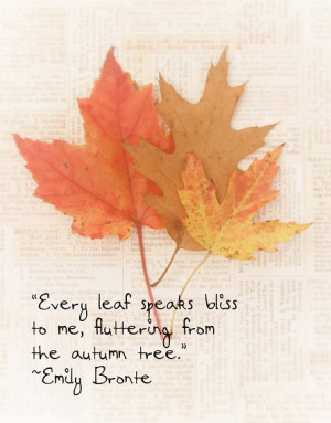 Fall Leaves Autumn Emily Bronte Quote FoilageTawny Brown Red Orange ...