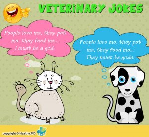 Veterinary Jokes