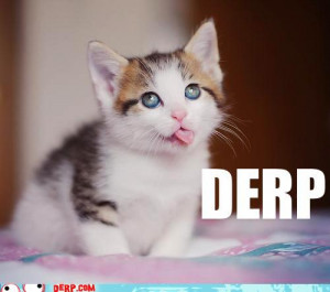 first you herp then you derp and what a cute little derper too awwwww ...