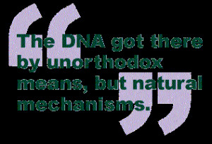 ... great deal of the dna in our bodies is by this definition junk dna