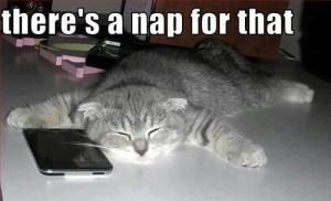 funny-quotes-nap