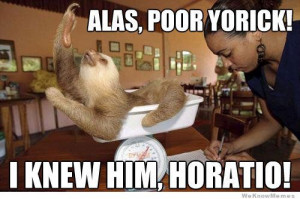 30 Greatest Sloth Memes, Gifs, And Comics