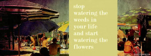 Stop Watering The Weeds In Life Quote Facebook Cover