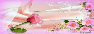 Pink Rose Sparkle Facebook Cover