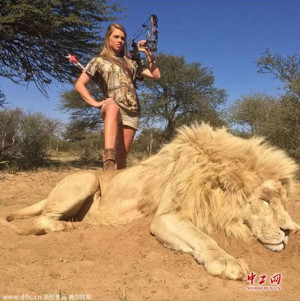 Is It Right To Hunt A Lion?