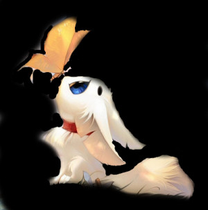 Posted by Doina at 9:42 PM