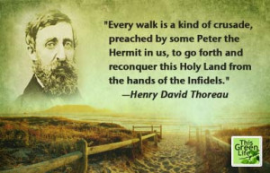Thoreau: Sauntering And The Discovery Of Holy Land
