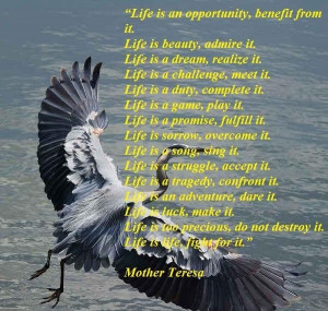 Daily quotes sometimes we put up walls to see who cares enough to ...