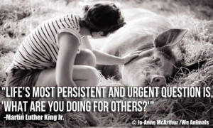 mlk quote what are you doing for others