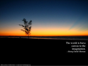 the world is but a canvas to the imagination henry