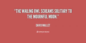 The wailing owl Screams solitary to the mournful moon.”