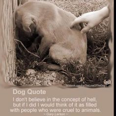 Vet Tech: Against Animal Abuse