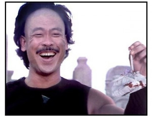 Kung Pow: Enter the Fist