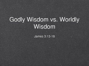 Godly Wisdom Godly wisdom vs.