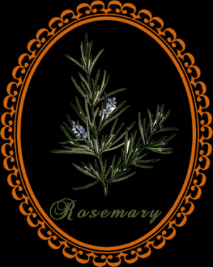 rosemary drawing Common Names: Rosemary, Guardrob...