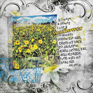 Sunflower quote