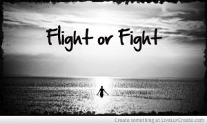 flight_or_fight-461366.jpg?i