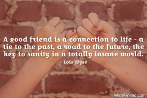 friendship-A good friend is a connection to life - a tie to the past ...