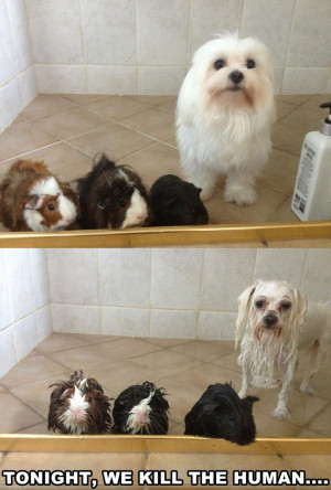 Sign up to see the rest of what’s here!