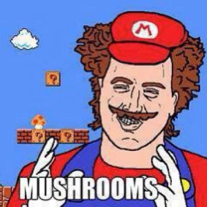 funny pictures mushrooms wanna joke com