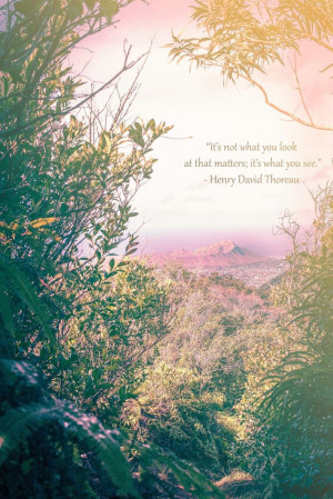 Thoreau quote, nature L.O. Photography