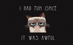 -grumpy-cat-quote-and-the-picture-of-the-lazy-cat-funny-cat-quotes ...