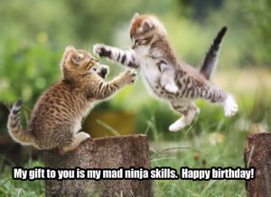 Ninja Cat Birthday Image