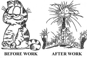Before Work, After Work - Bill the Cat and Garfield
