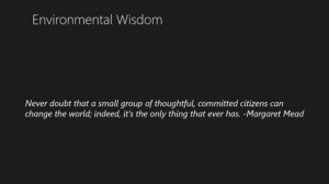 Environmental wisdom environment quote