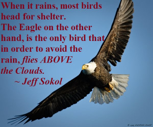 The Fly with Eagles Quote http://www.workwithjeffsokol.com/how-to-fly ...
